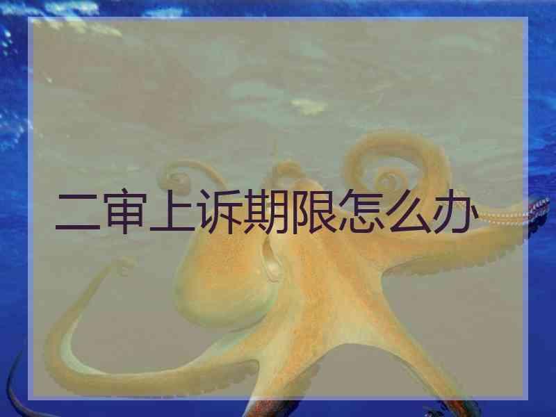 二审上诉期限怎么办