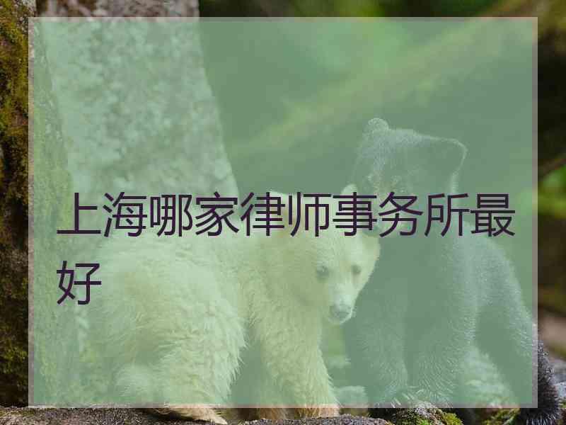 上海哪家律师事务所最好