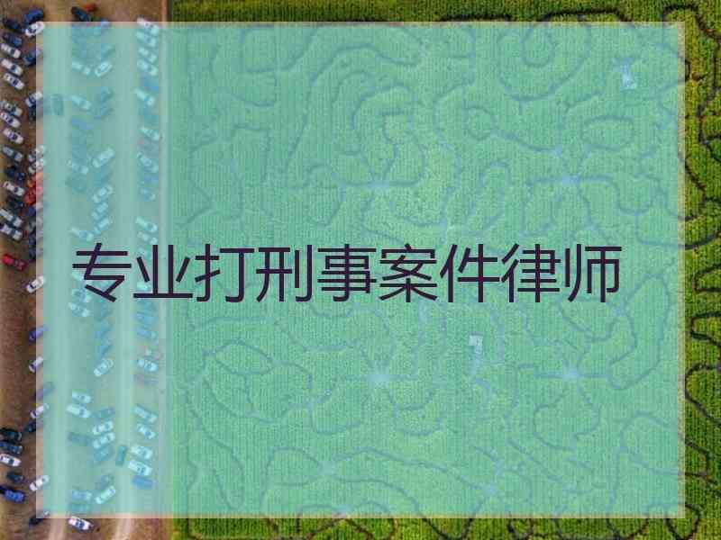 专业打刑事案件律师