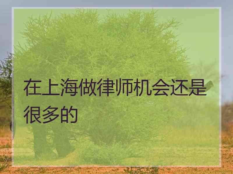 在上海做律师机会还是很多的