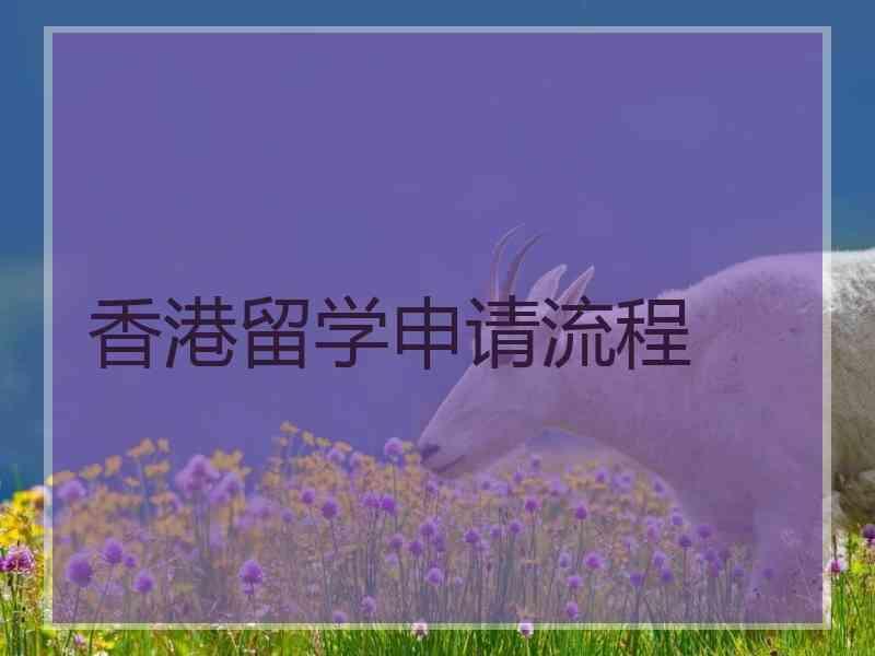 香港留学申请流程