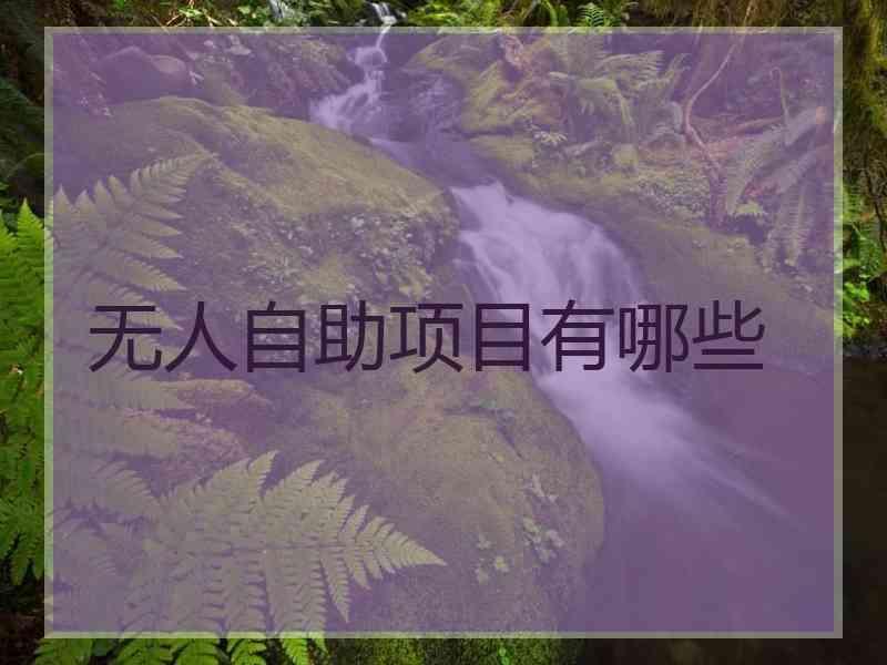 无人自助项目有哪些