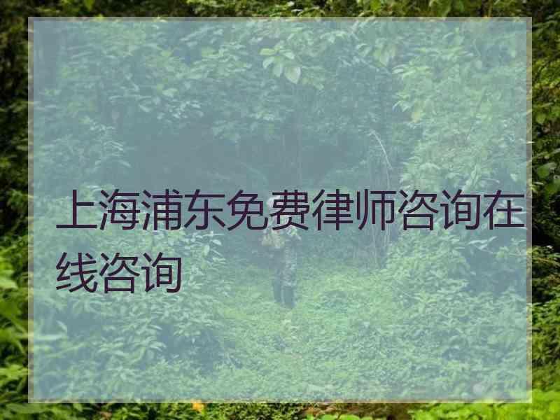 上海浦东免费律师咨询在线咨询