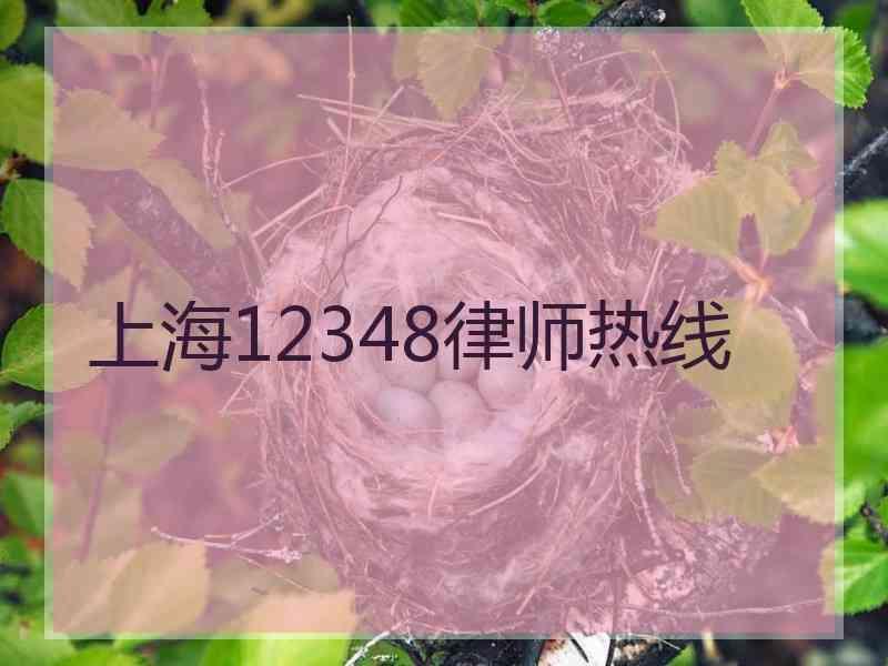 上海12348律师热线