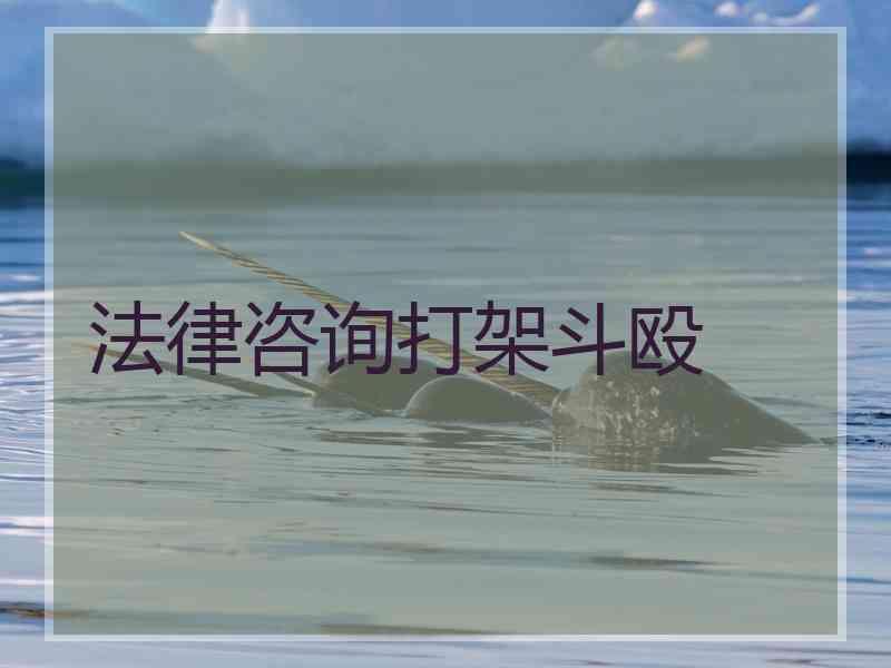 法律咨询打架斗殴