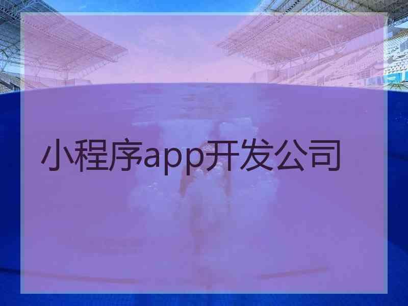 小程序app开发公司