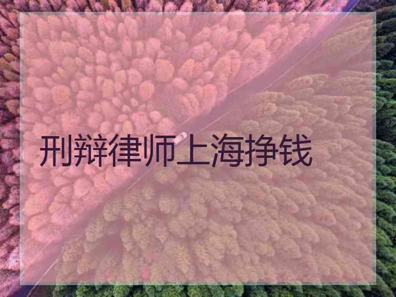 刑辩律师上海挣钱