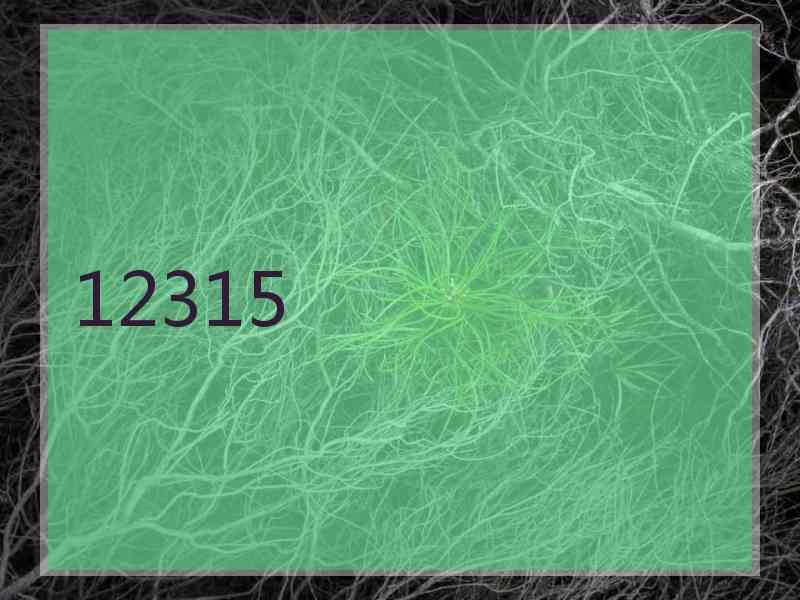 12315