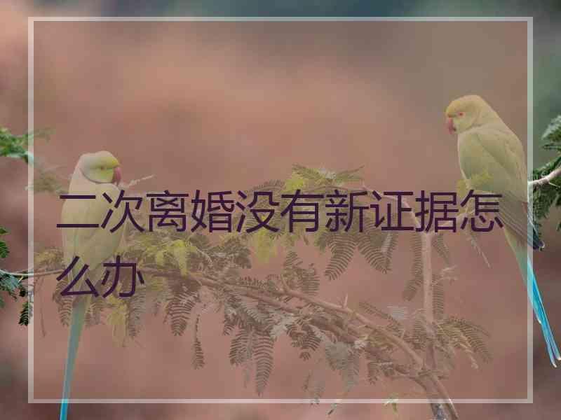 二次离婚没有新证据怎么办