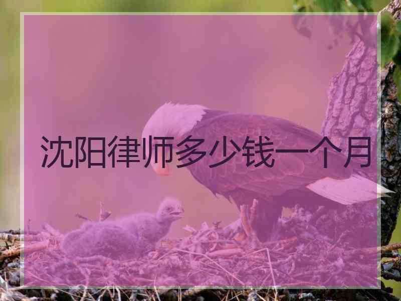 沈阳律师多少钱一个月