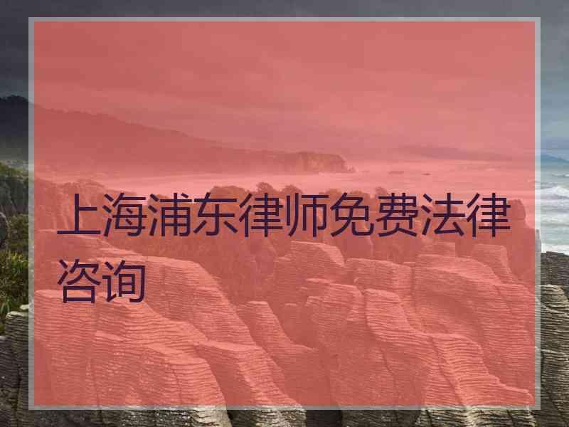 上海浦东律师免费法律咨询