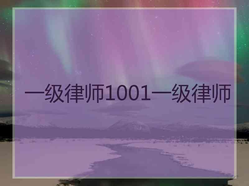 一级律师1001一级律师