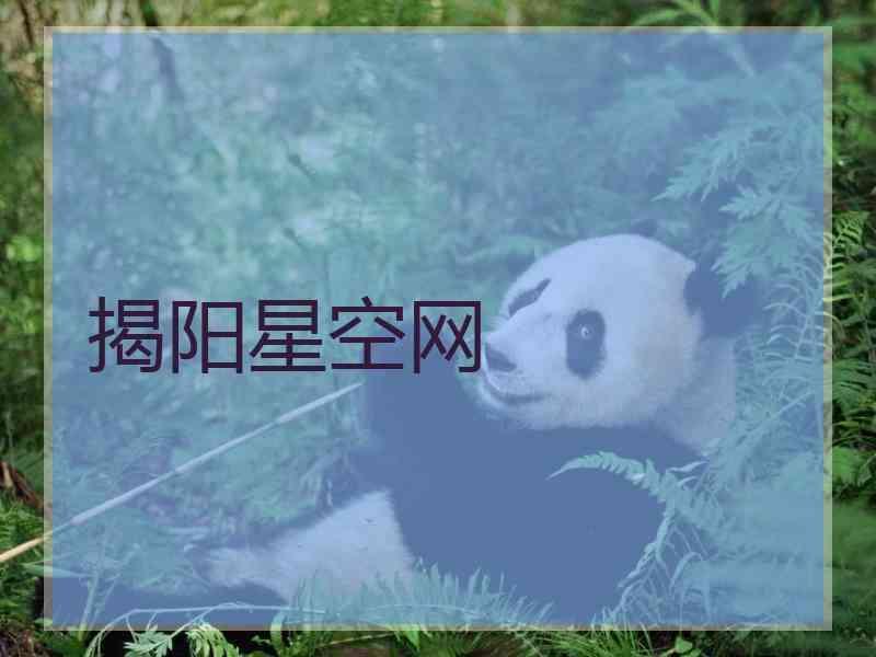 揭阳星空网