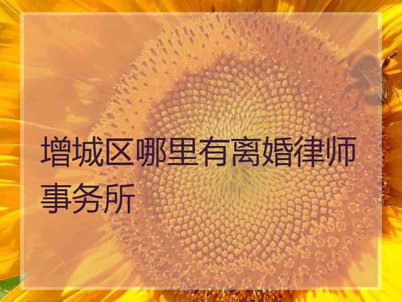 增城区哪里有离婚律师事务所