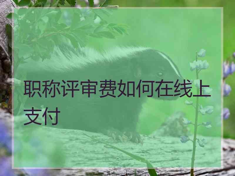 职称评审费如何在线上支付