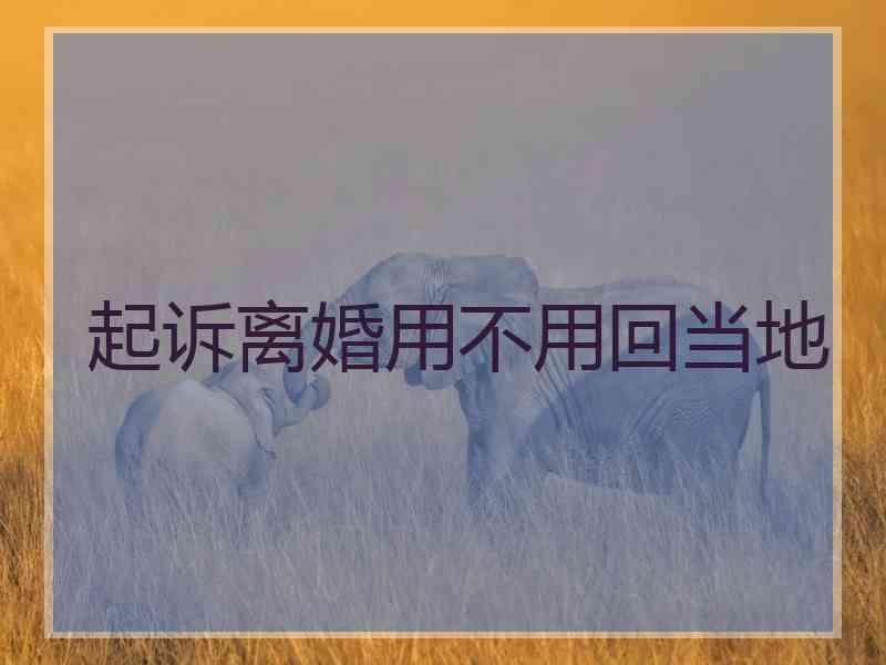 起诉离婚用不用回当地