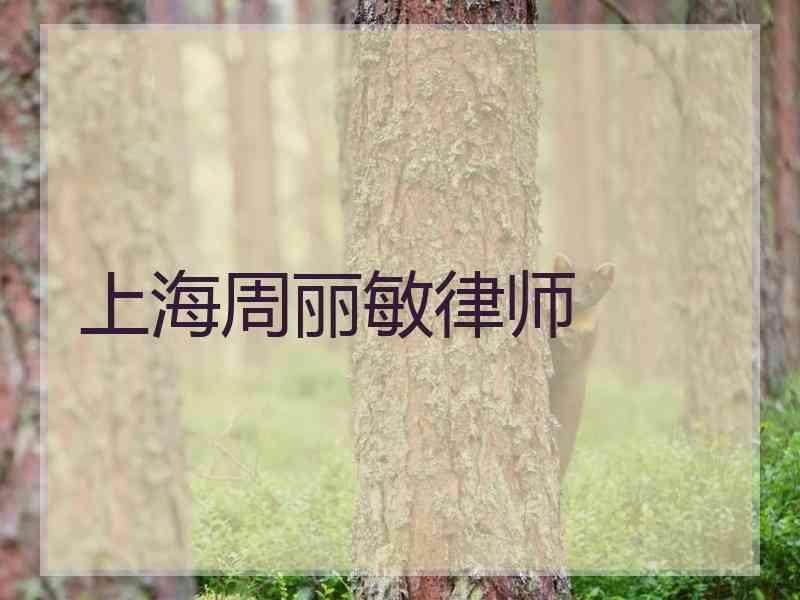 上海周丽敏律师