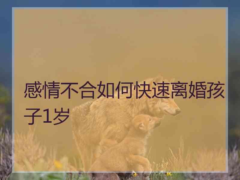 感情不合如何快速离婚孩子1岁