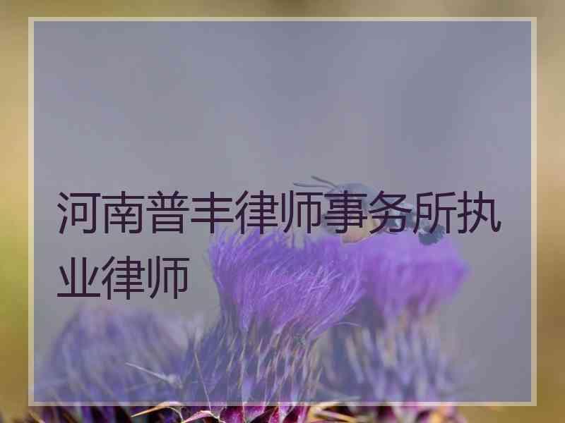 河南普丰律师事务所执业律师