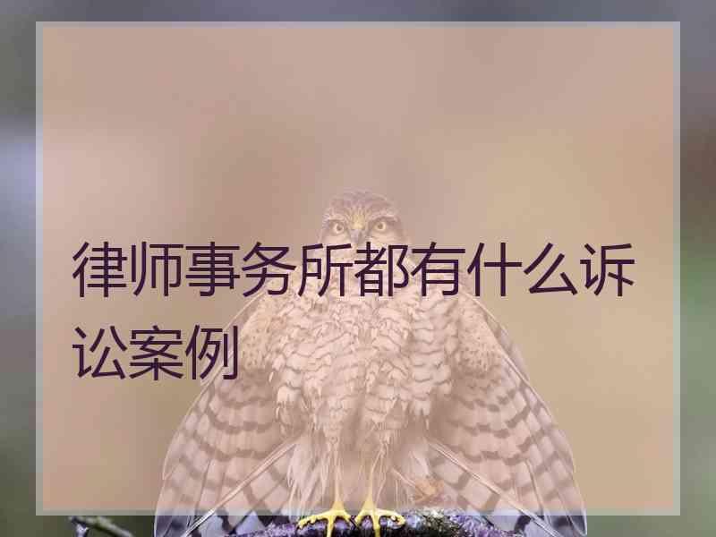 律师事务所都有什么诉讼案例