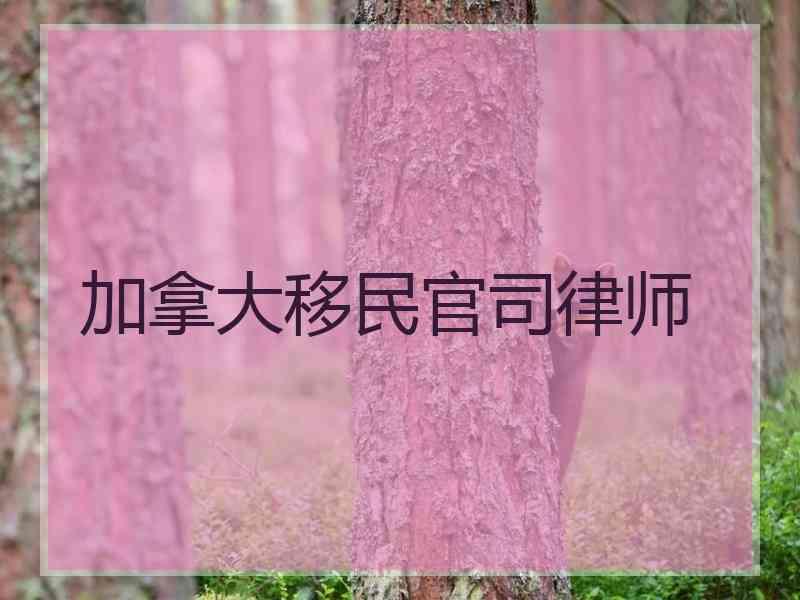 加拿大移民官司律师