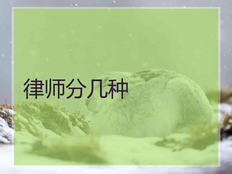 律师分几种