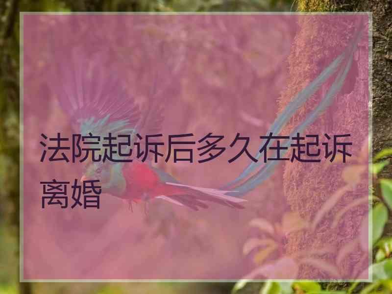 法院起诉后多久在起诉离婚