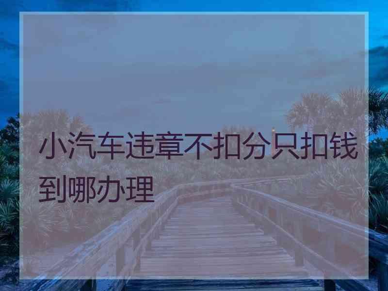 小汽车违章不扣分只扣钱到哪办理