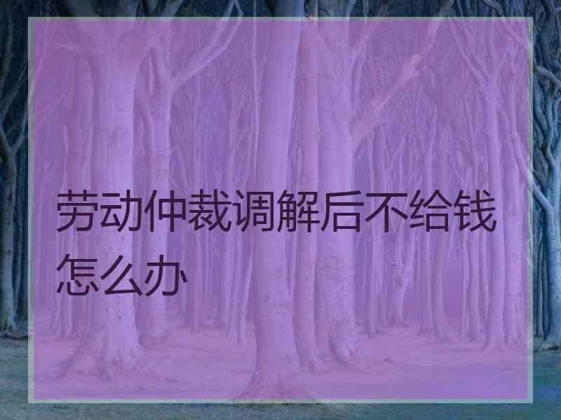 劳动仲裁调解后不给钱怎么办