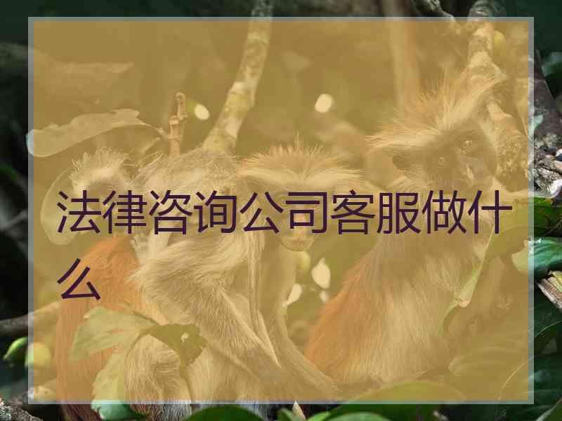 法律咨询公司客服做什么