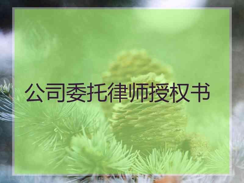 公司委托律师授权书