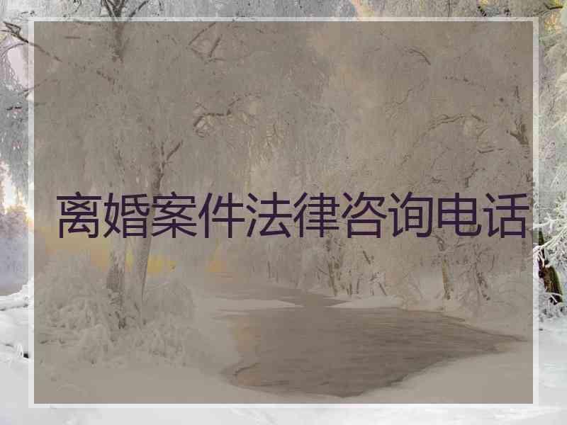离婚案件法律咨询电话