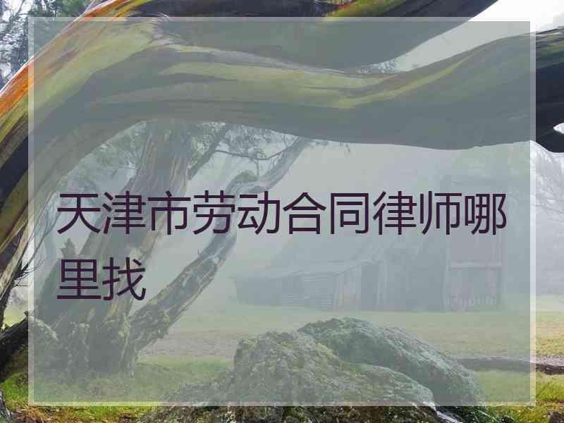 天津市劳动合同律师哪里找