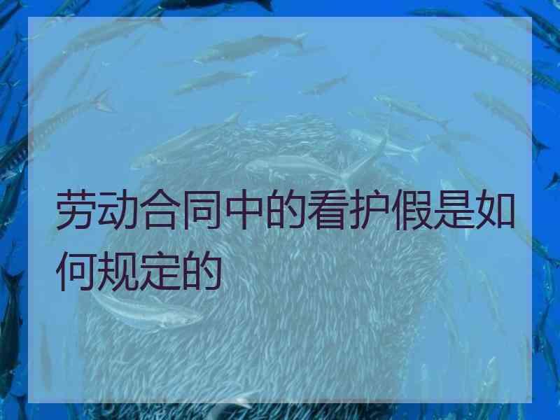 劳动合同中的看护假是如何规定的