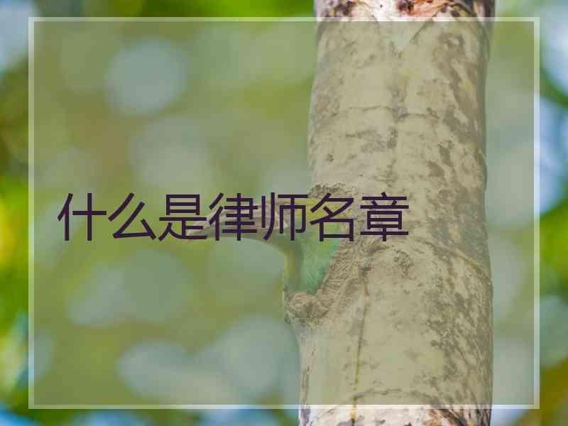 什么是律师名章