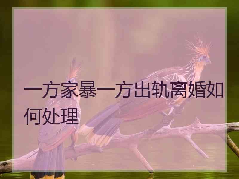 一方家暴一方出轨离婚如何处理