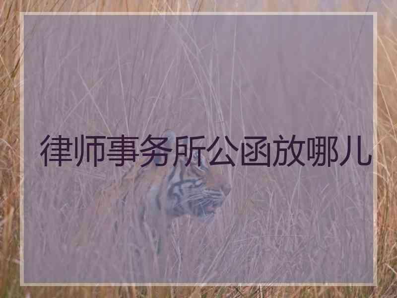 律师事务所公函放哪儿