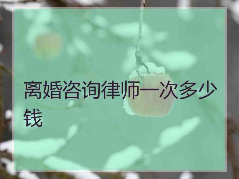 离婚咨询律师一次多少钱