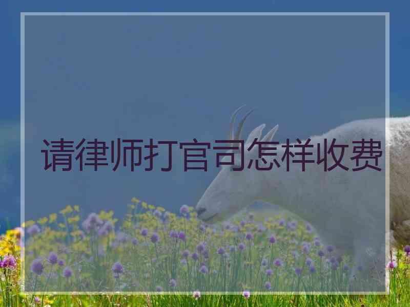 请律师打官司怎样收费