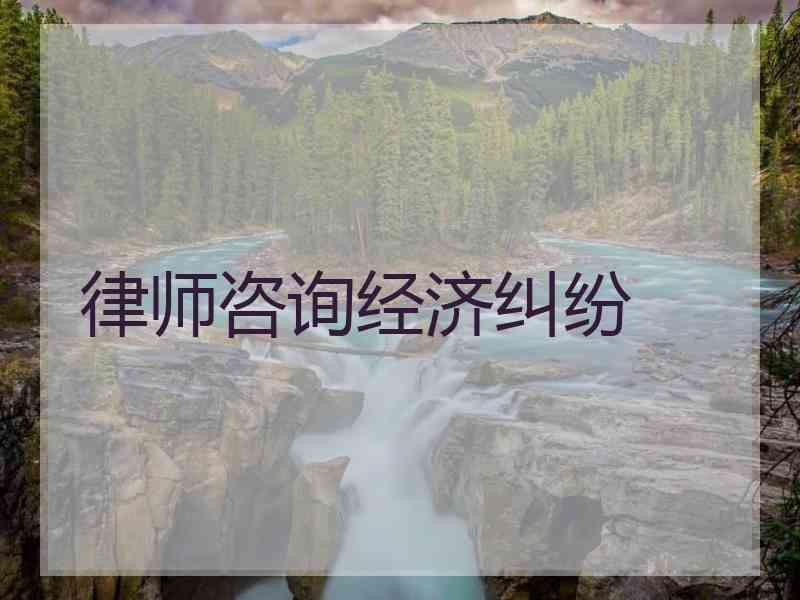 律师咨询经济纠纷