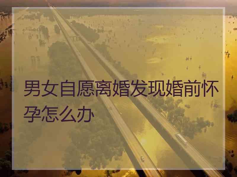 男女自愿离婚发现婚前怀孕怎么办