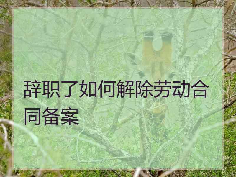 辞职了如何解除劳动合同备案