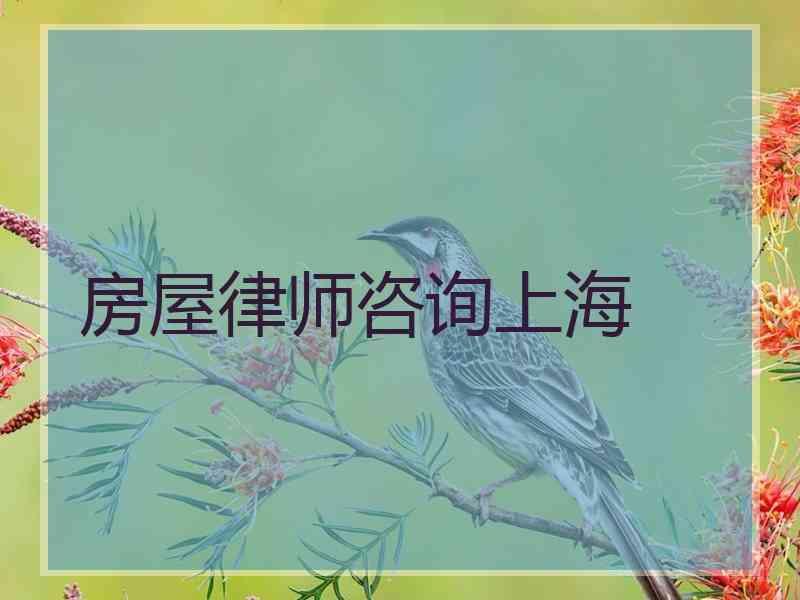 房屋律师咨询上海