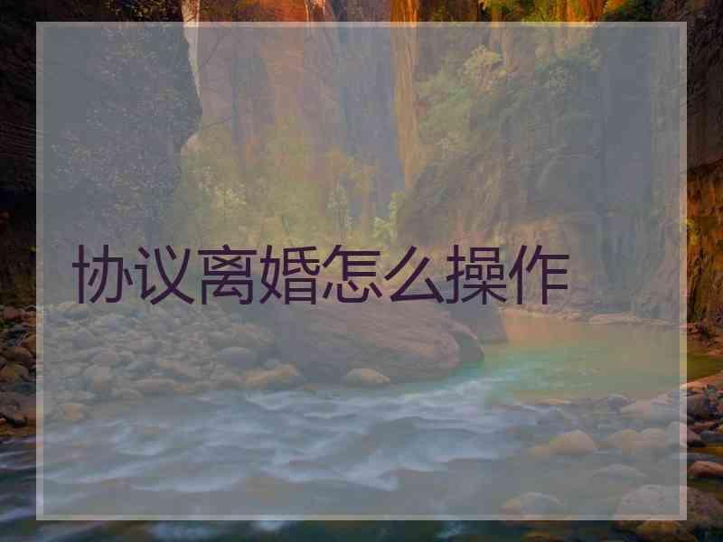 协议离婚怎么操作