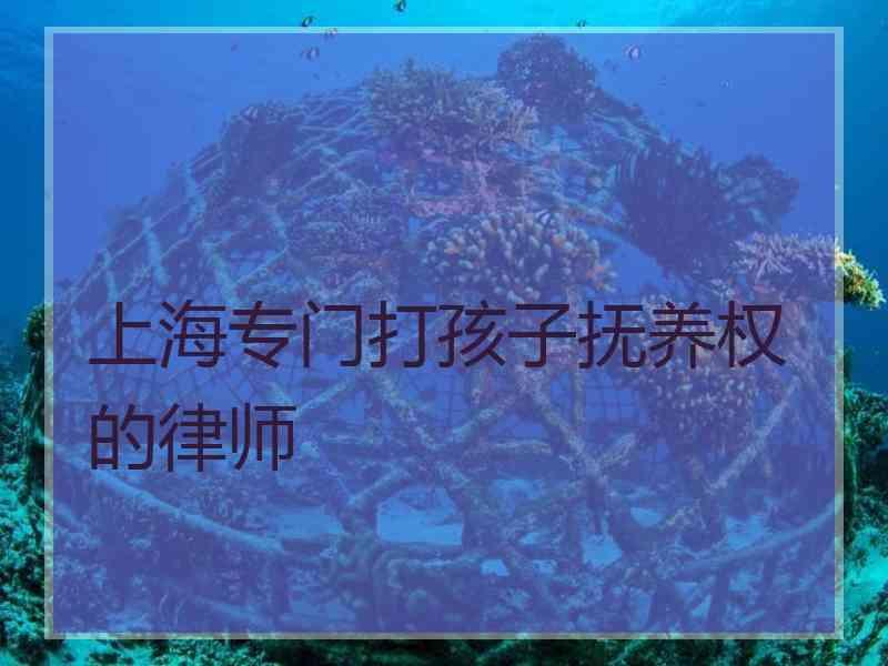 上海专门打孩子抚养权的律师