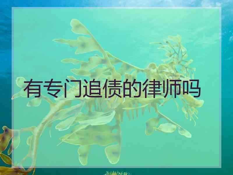 有专门追债的律师吗