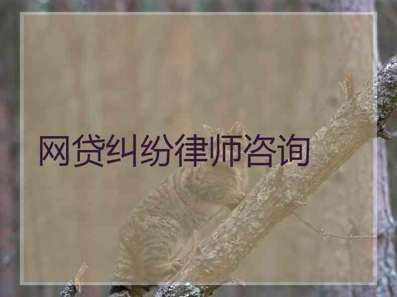 网贷纠纷律师咨询