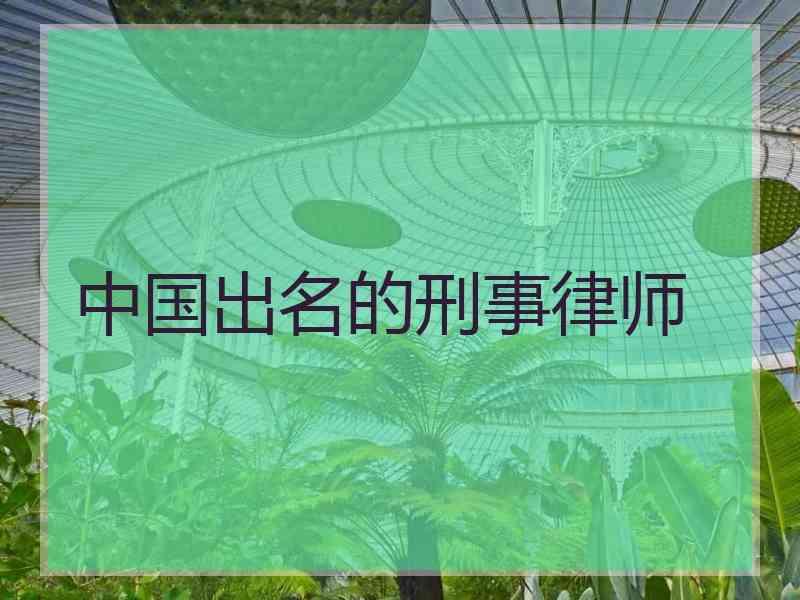 中国出名的刑事律师