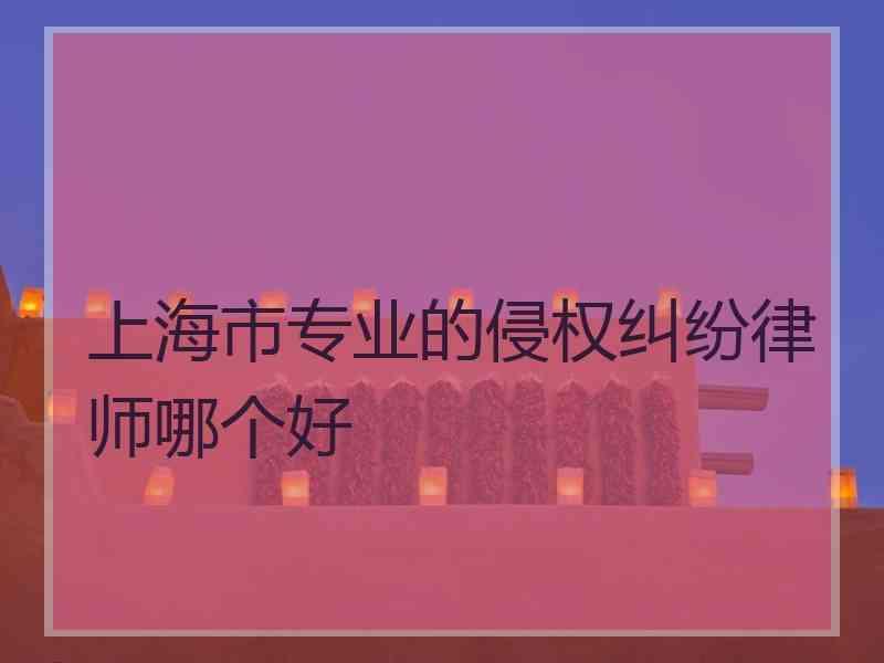 上海市专业的侵权纠纷律师哪个好