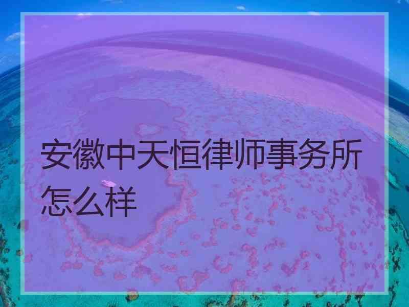 安徽中天恒律师事务所怎么样